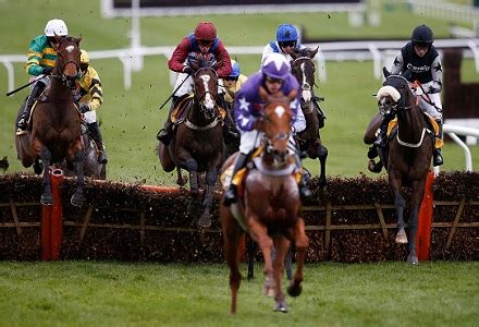 betvictor gold cup oddschecker - BetVictor gold cup predictions